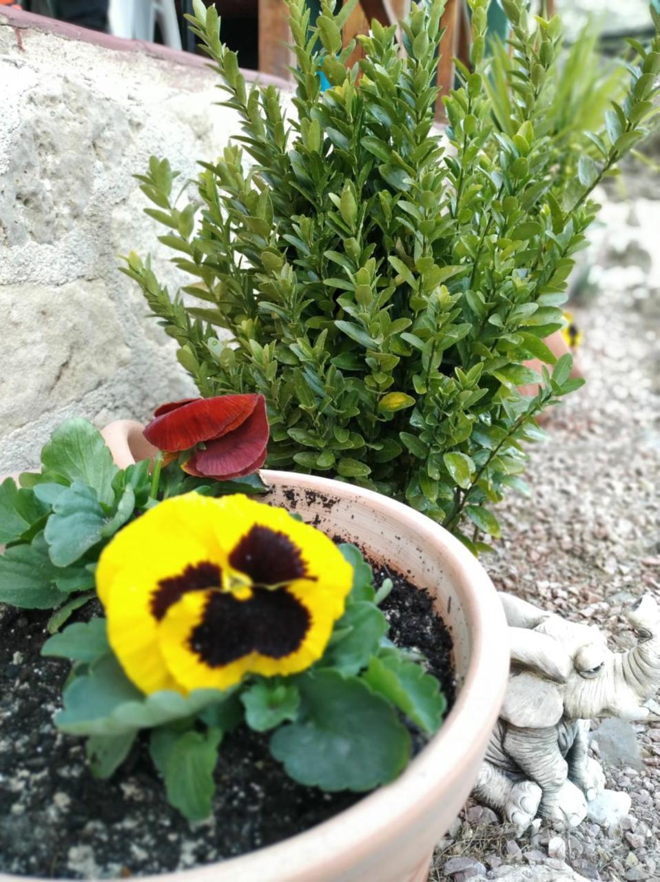 מלון מורטאיה El Retiro Moratalla מראה חיצוני תמונה